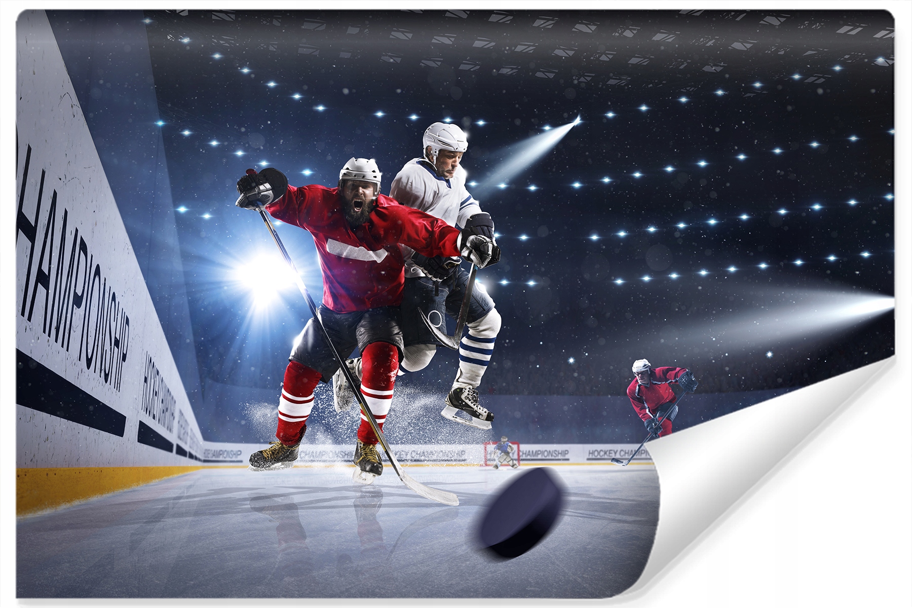 Fototapeta 3D Hokej Trénink pro mládež 270x180