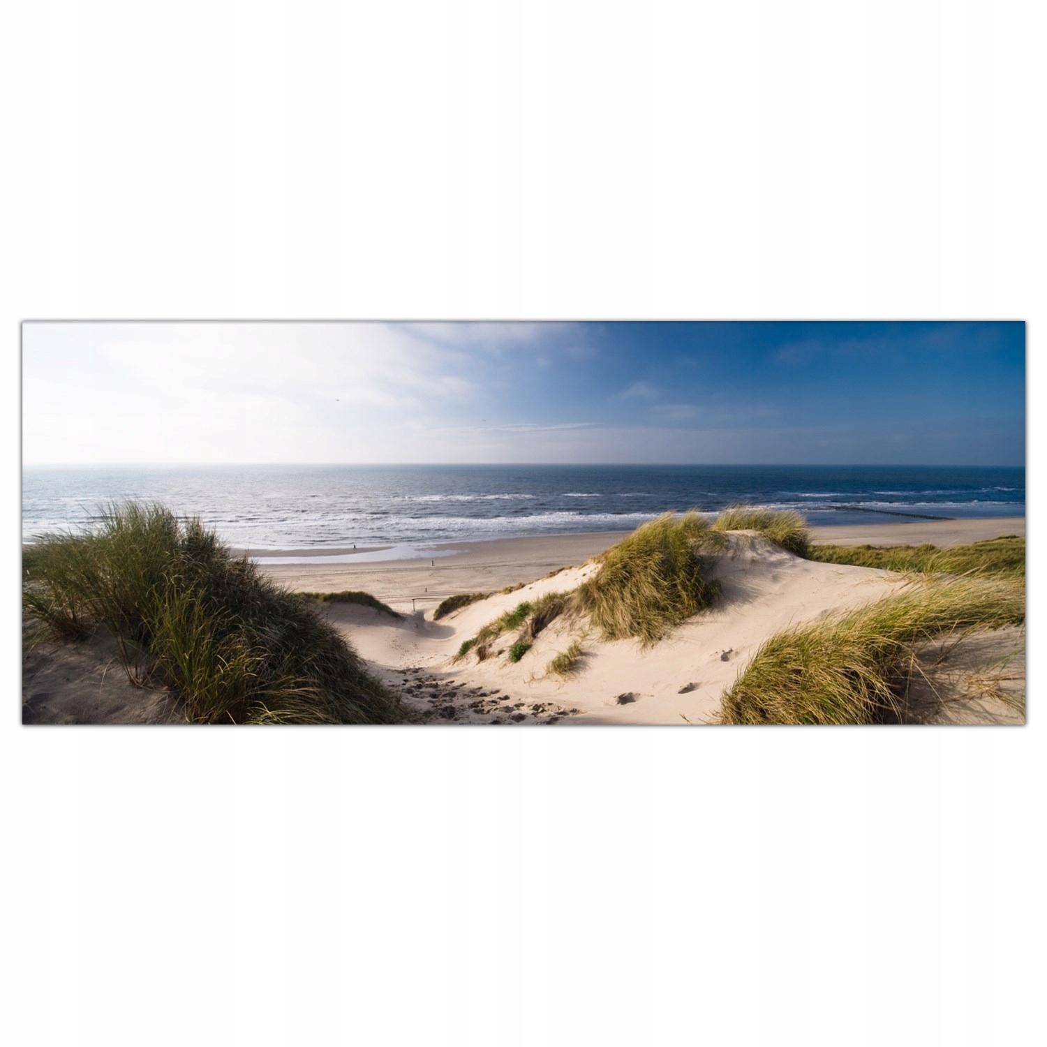 Tvrzený skleněný obraz Duny Oceán Pláž 125x50