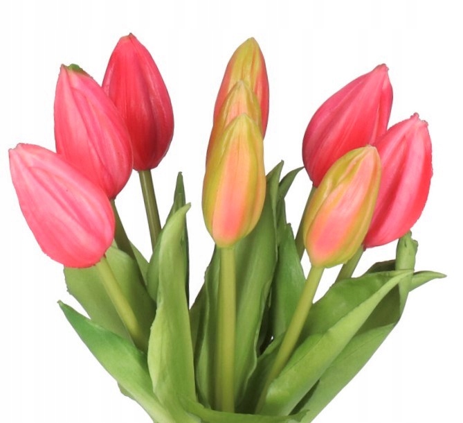 

Tulipany Bukiet Tulipanów Kwiaty Gumowe Jak Żywe