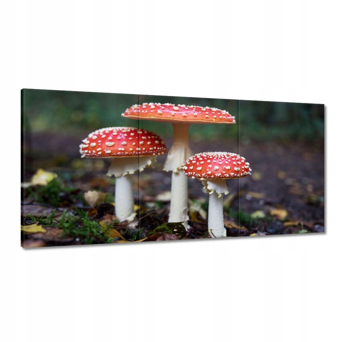 Obrazy 180x90 Makrofotografia MacroFoto