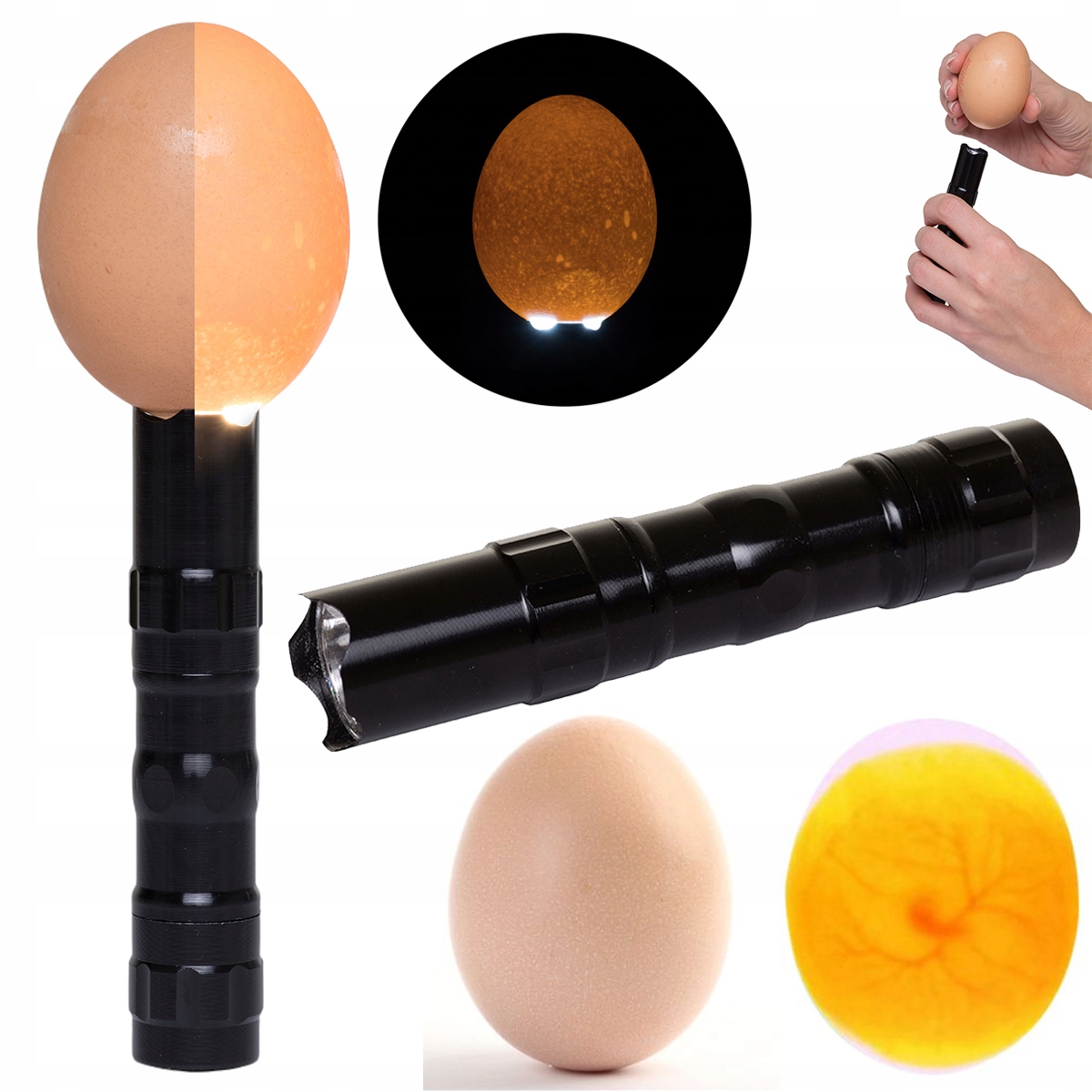 INKUBATOR KLUJNIK WYLĘGARKA JAJ WYLĘGU DROBIU 88 j Rodzaj inkubator z klujnikiem