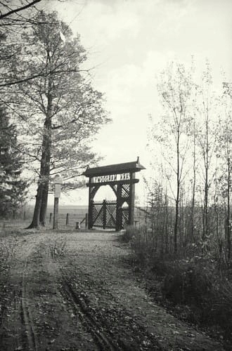 Białowieża - Reprodukcja 14588