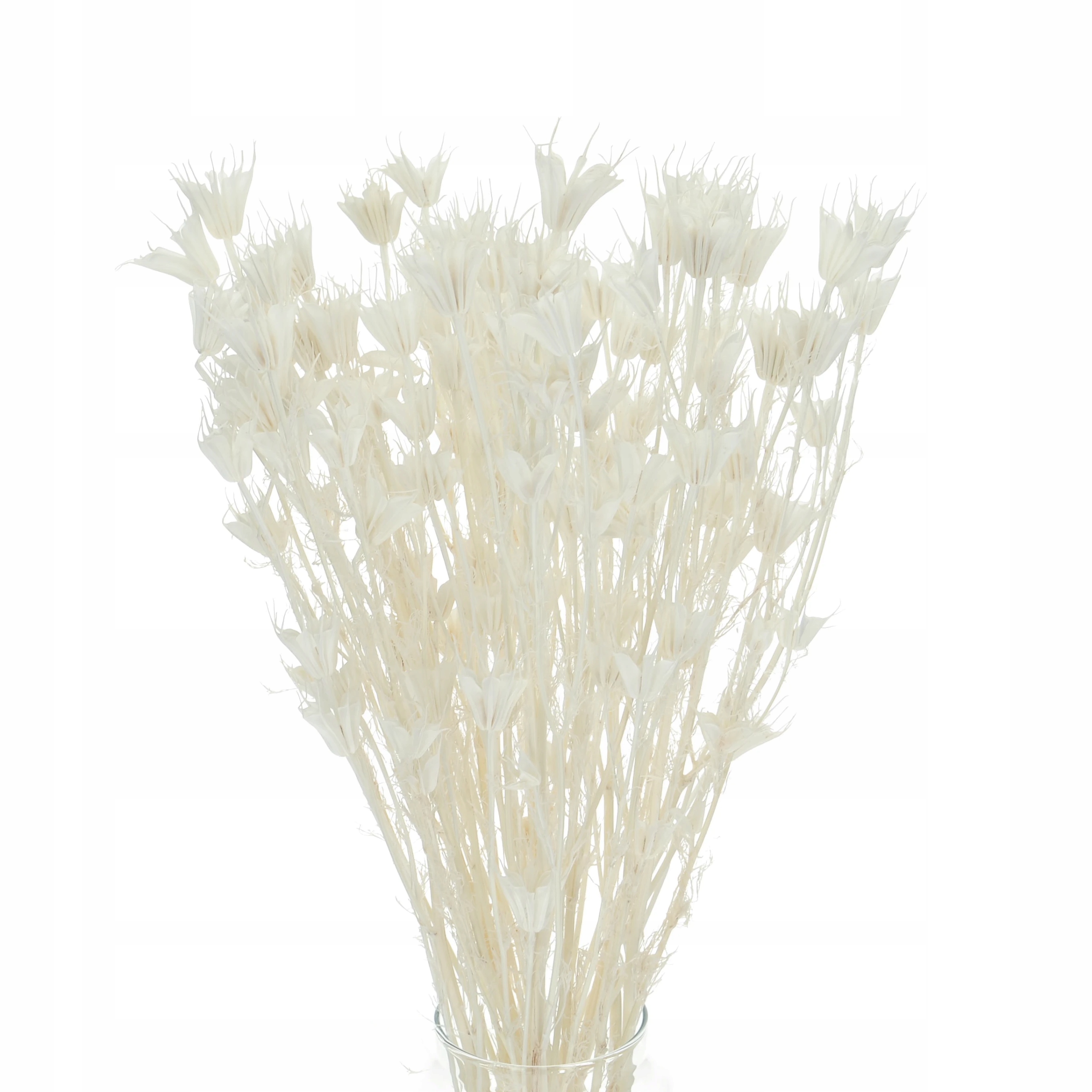 

Suszona czarnuszka orientalna bielona, nigella
