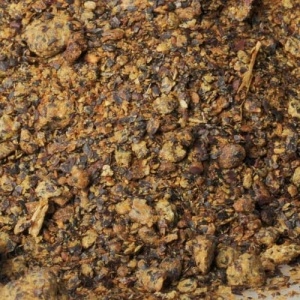 ŚRUTA RZEPAKOWA DLA ZWIERZĄT 10kg, PASZA, KONCENTRAT BIAŁKOWY 34%