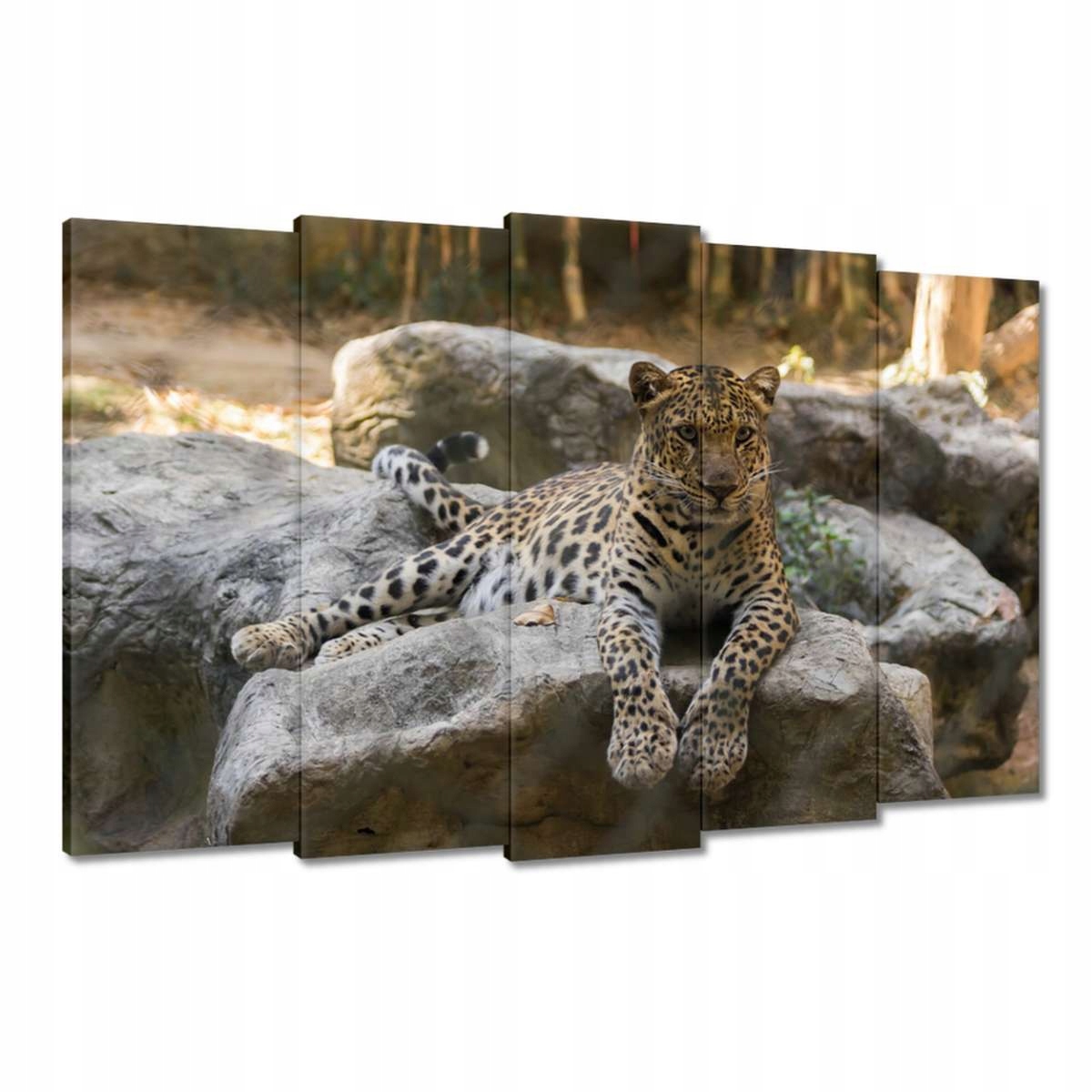 Obrazy 150x95 Leopard