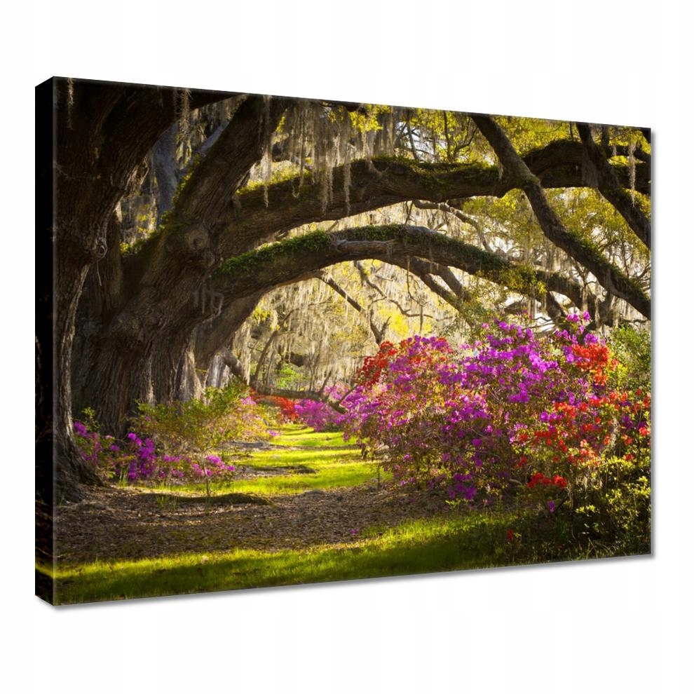 

Obrazy 50x40 Kwiaty w parku