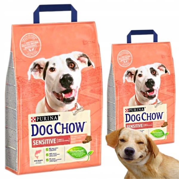 Karma dla psa Purina Dog Chow łosoś 2.5kg x 2 szt.