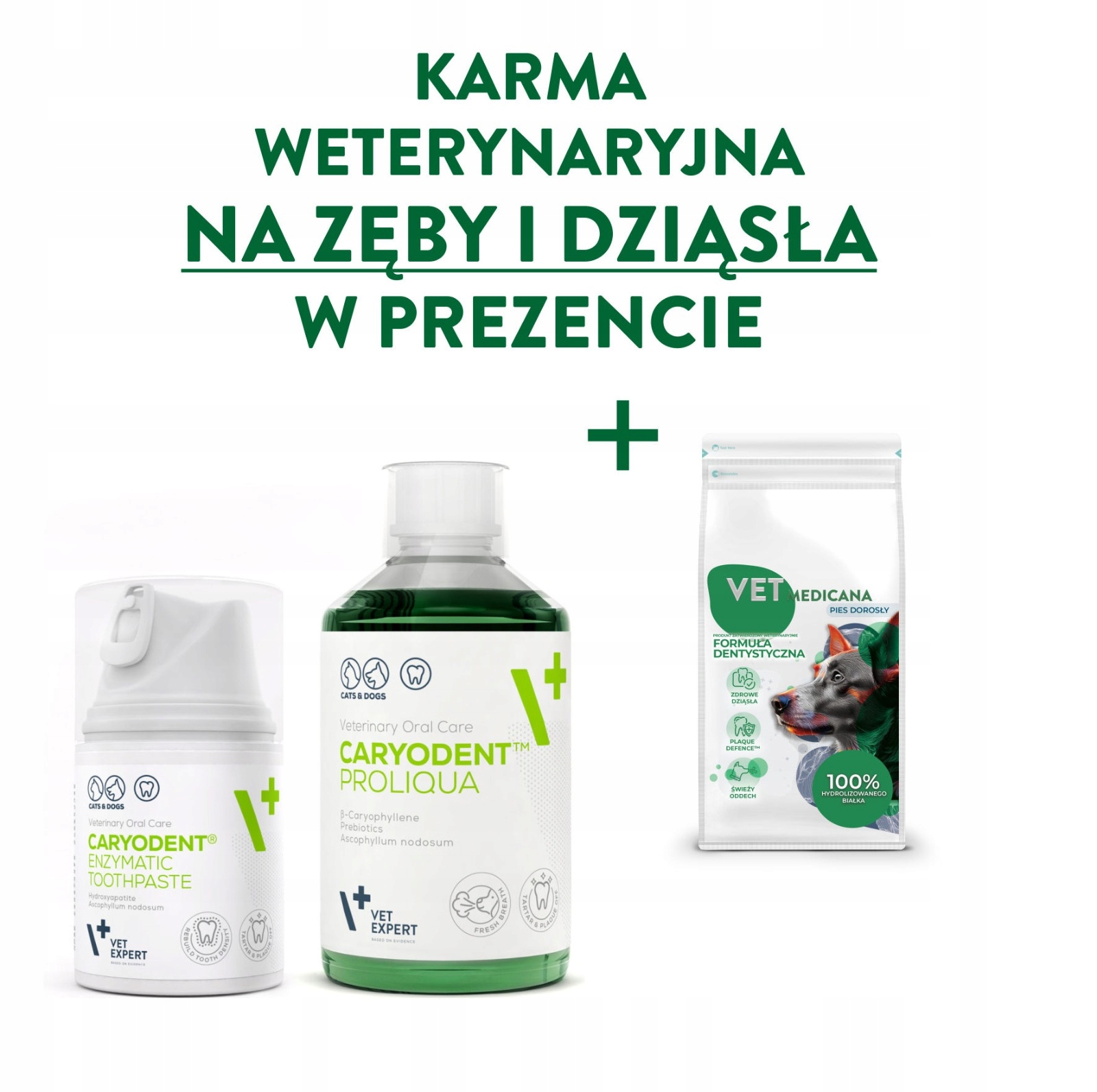 Vet Expert Caryodent zestaw Pasta do zębów i płyn do higieny jamy ustnej