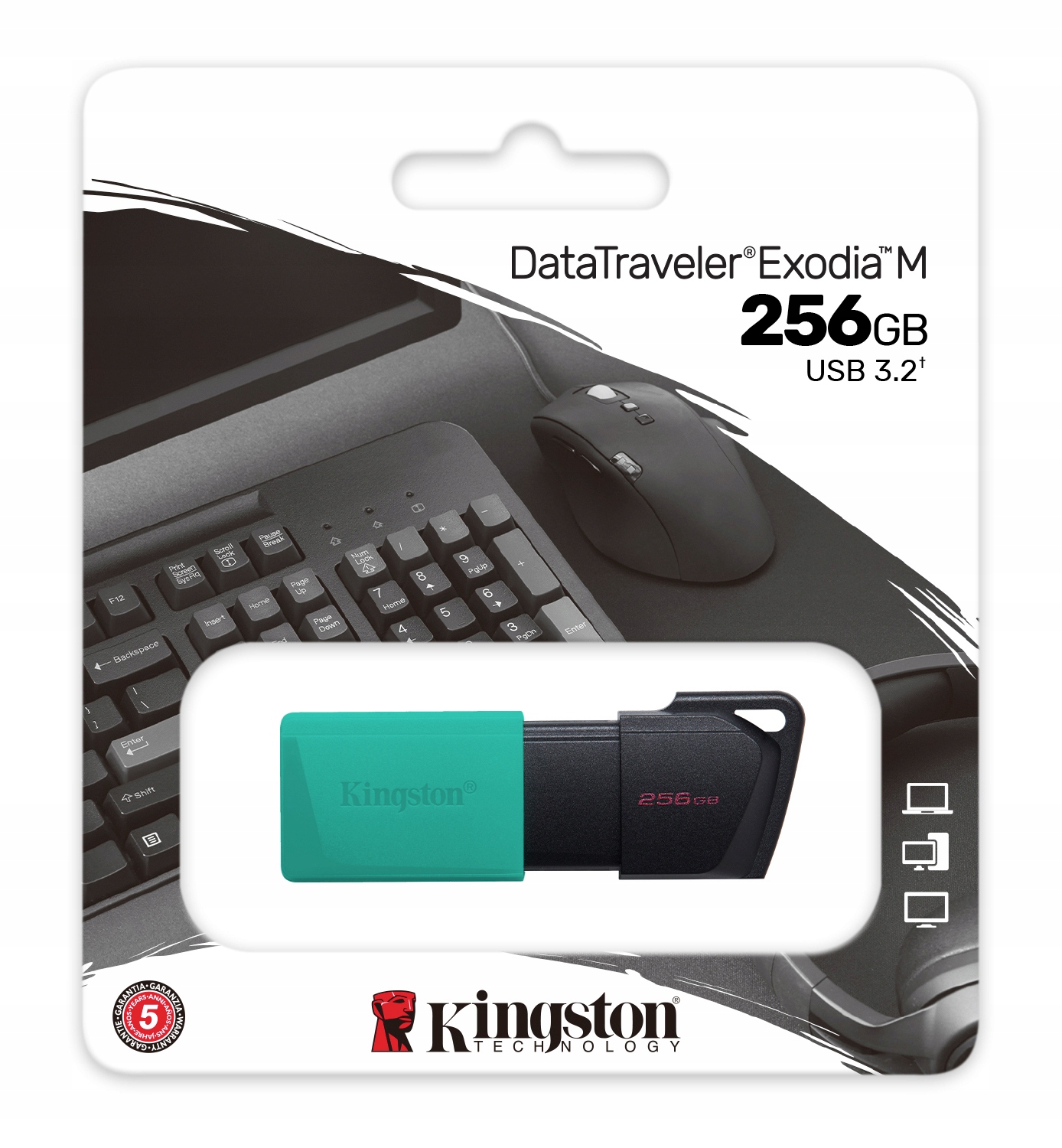 Pendrive Kingston Dtxm 256GB Exodia M Usb 3.2