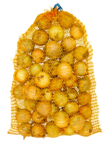 Levně Cibule 5 kg Polsko