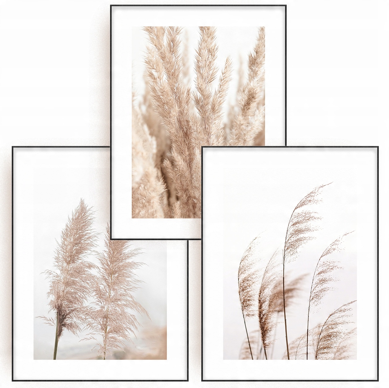 

Plakat Obraz Trawy Pampasowe 30x40 cm Galeria 3szt
