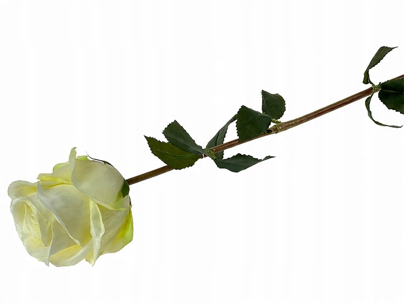 

Róża sztuczna jak żywa A984A Ecru