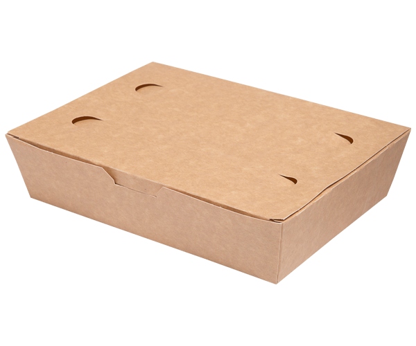 

Food box 20 x 10 x 5 Nature 100 szt