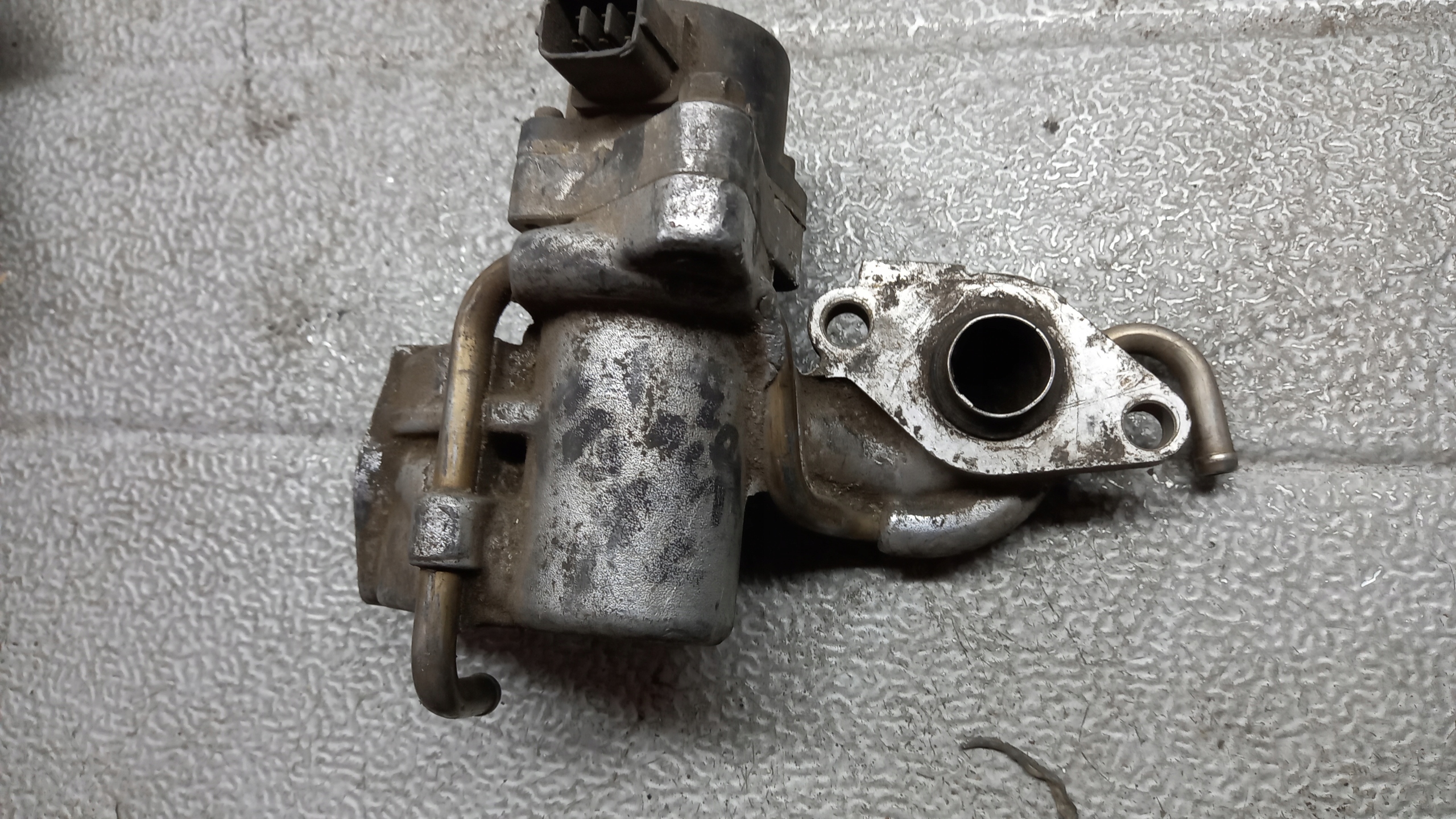 ZAWOR EGR MITSUBISHI CARISMA Typ samochodu Samochody osobowe