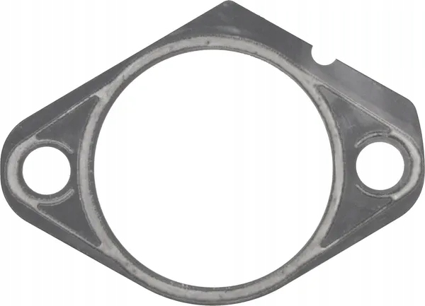 Uszczelka kompensacyjna