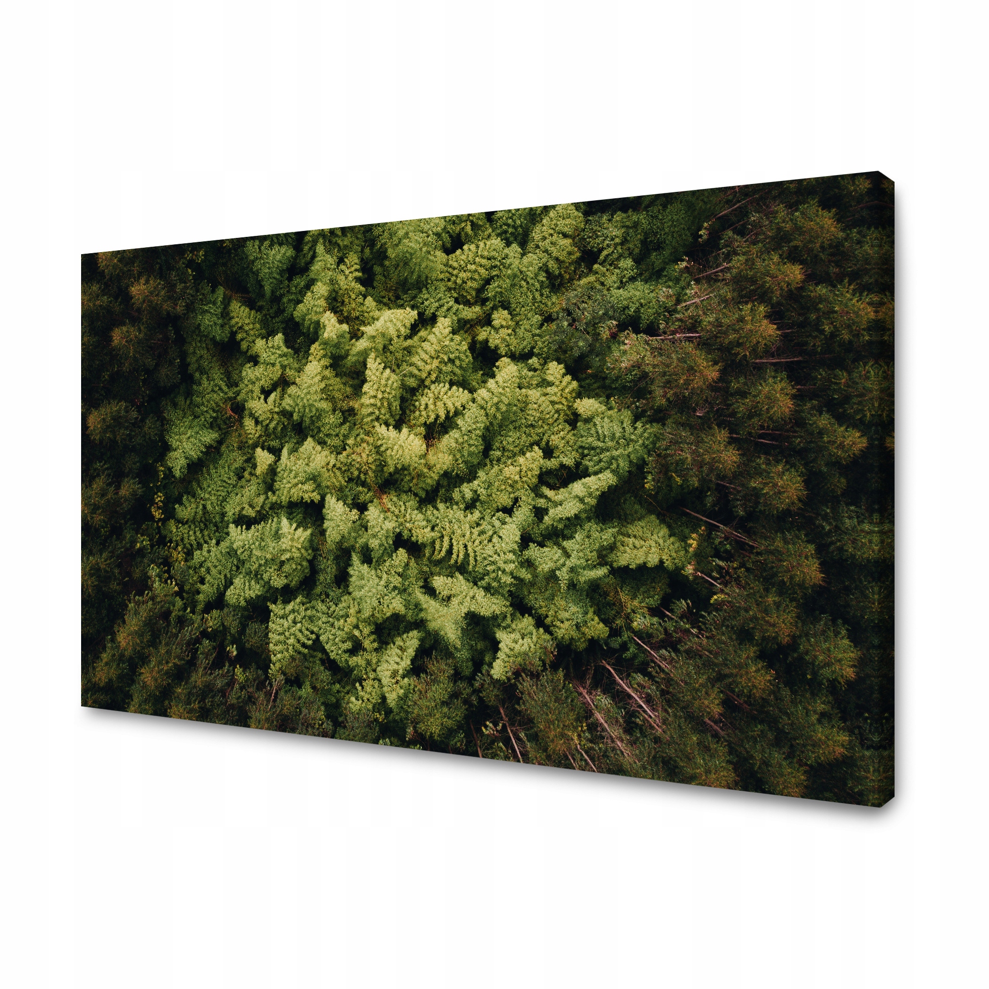 Obraz na plátně Příroda Stromy z letu ptáka Letecký záběr lesa 90x60