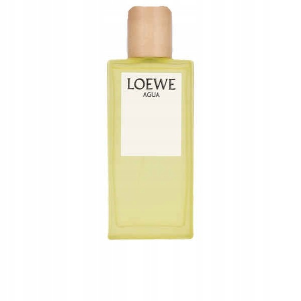 Parfém Unisex Loewe Agua De Loewe Ella Edt 100 ml