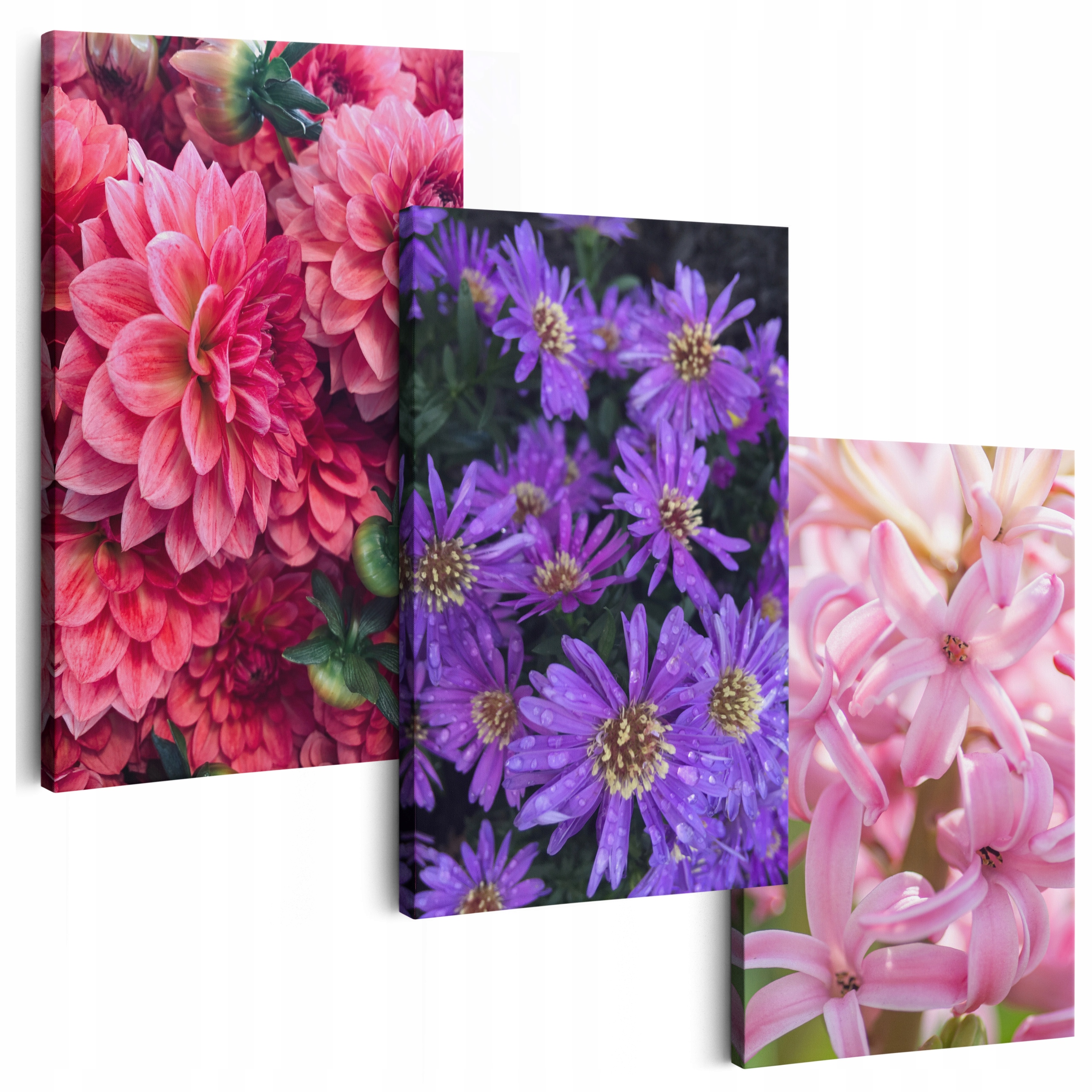 Obraz Na Plátně 180 cm **mnoho vzorů** Obrazy Do Obývacího Pokoje Triptyki Květiny