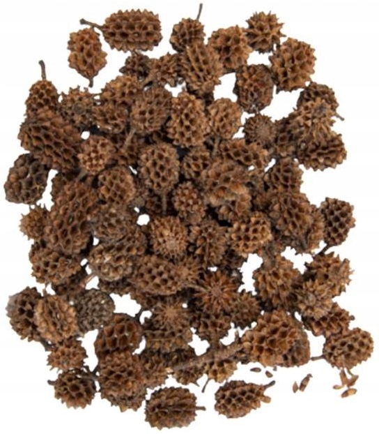 

Szyszki Naturalne Mini Ozdobne Święta 1,5-3cm 30g