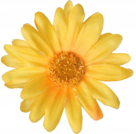 

Stokrotka Margaretka Główka Wyrobowa Żółta 6 cm