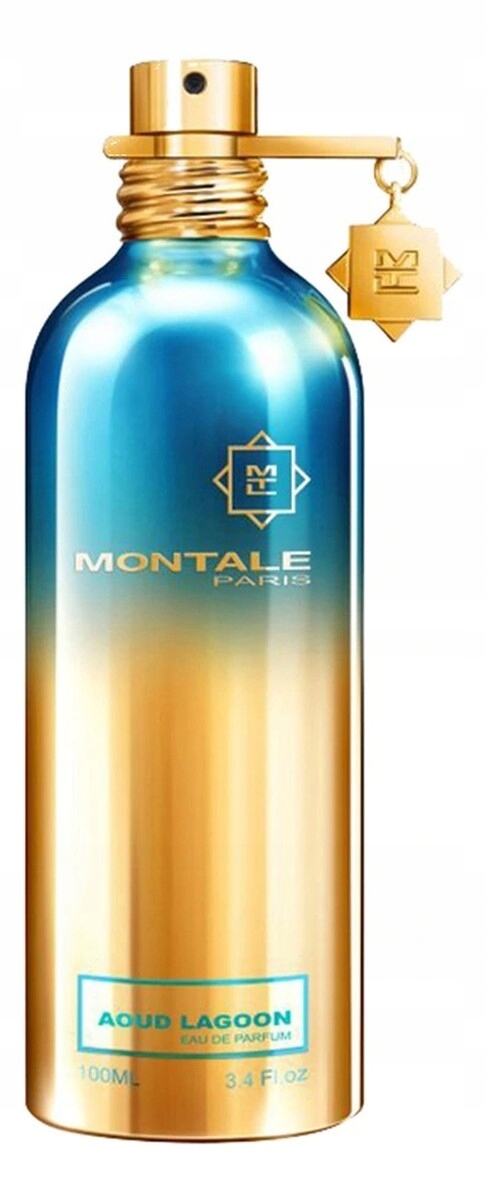 Montale Aoud Lagoon parfémovaná voda sprej 100 ml
