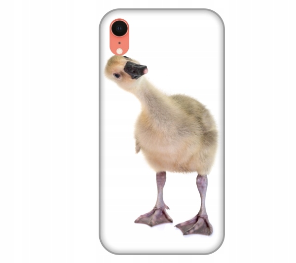 

Etui Case iPhone Xr Ges smieszne