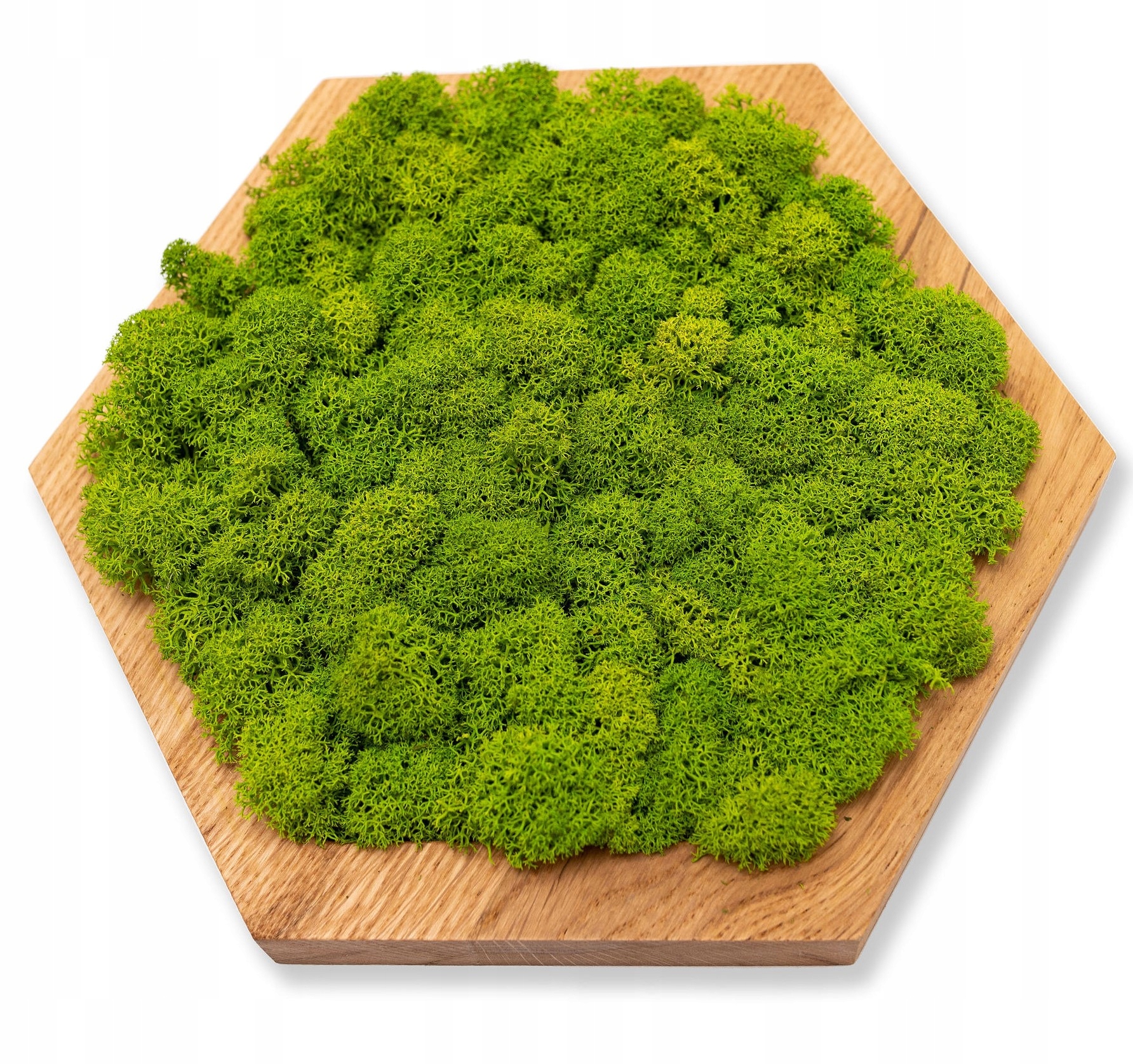 PANELE ŚCIENNE MECH CHROBOTEK JASNY HEKSAGON MIDI