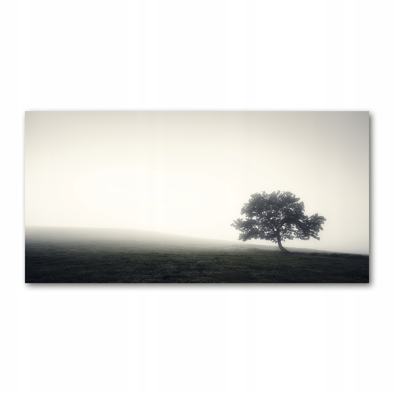

Foto obraz akryl zdjęcie Samotne drzewo 120X60 cm