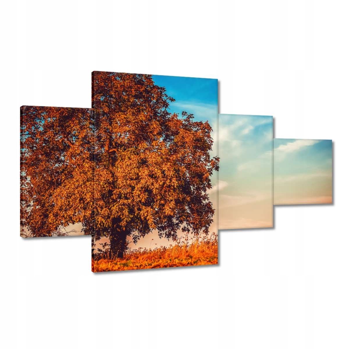 Obrazy 130x80 Podzimní barvy Krajina