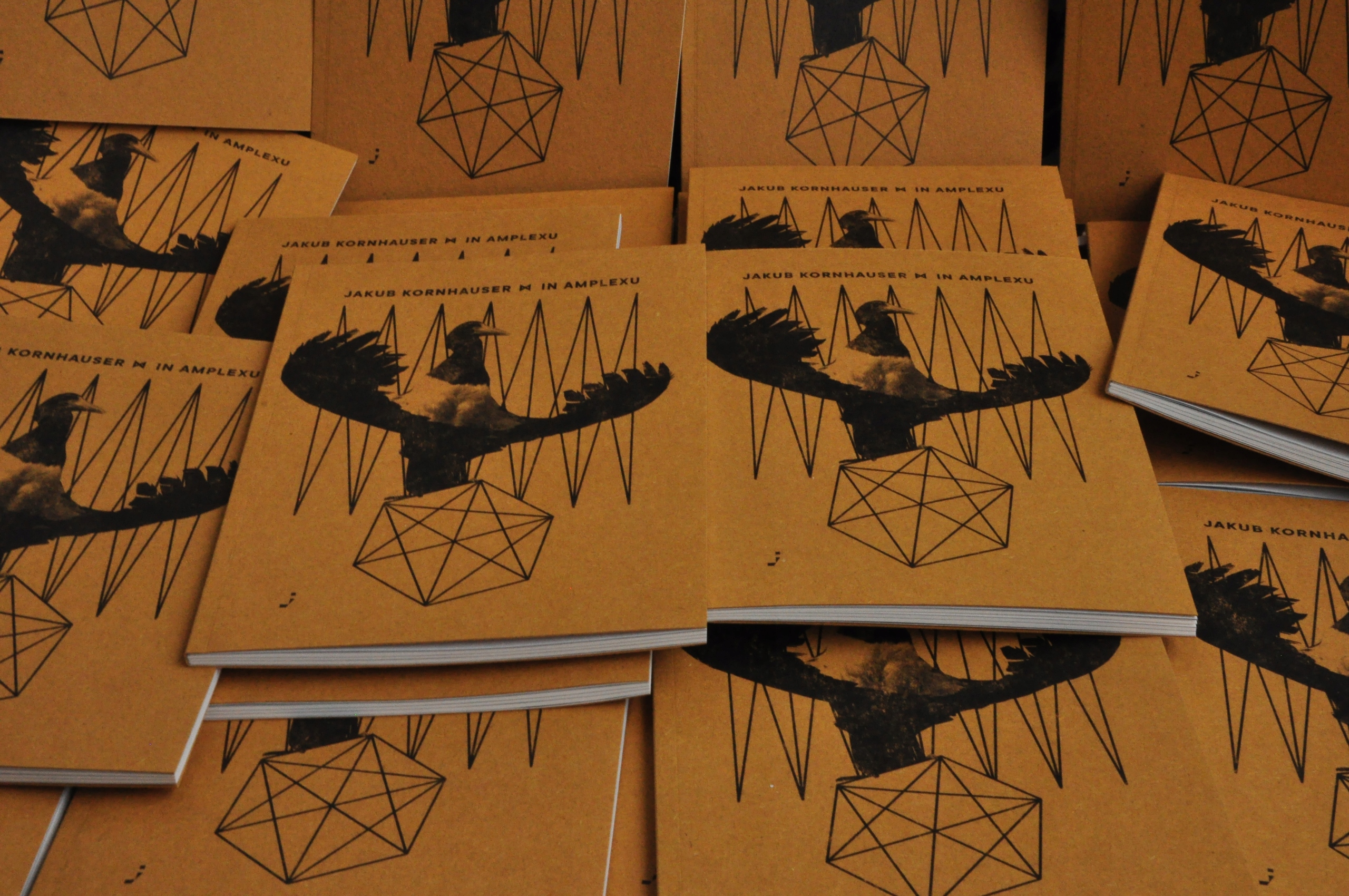 Jakub Kornhauser, In amplexu Wydawnictwo inne