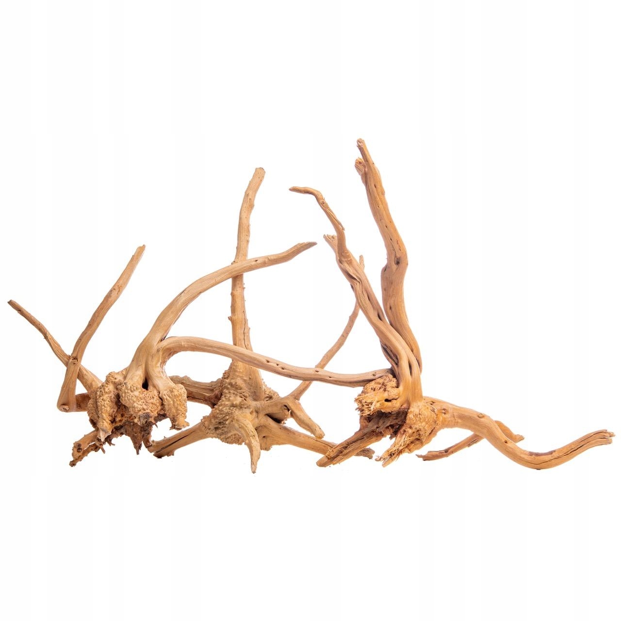 Levně Kořen Cradle Wood Pro Akvárium Přírodní Ozdoba Aquascaping 10-30 CM