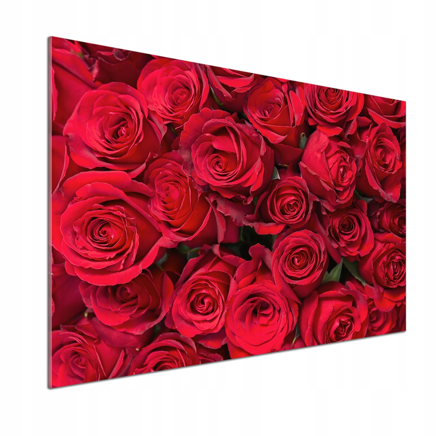 Panel do kuchyne Červené ruže 100 x 70 cm Lepidlo