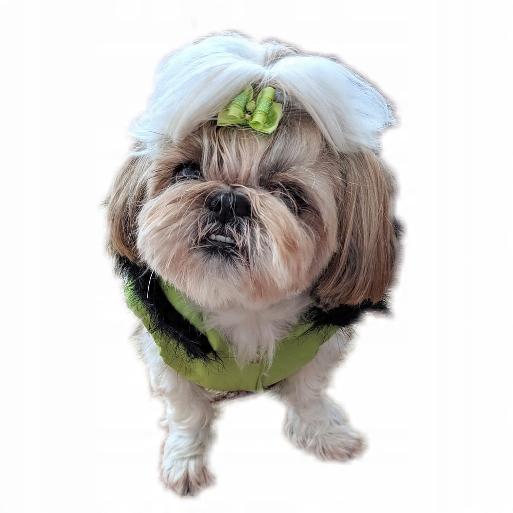 

Ręcznie szyta kurtka e zielona L Shih Tzu
