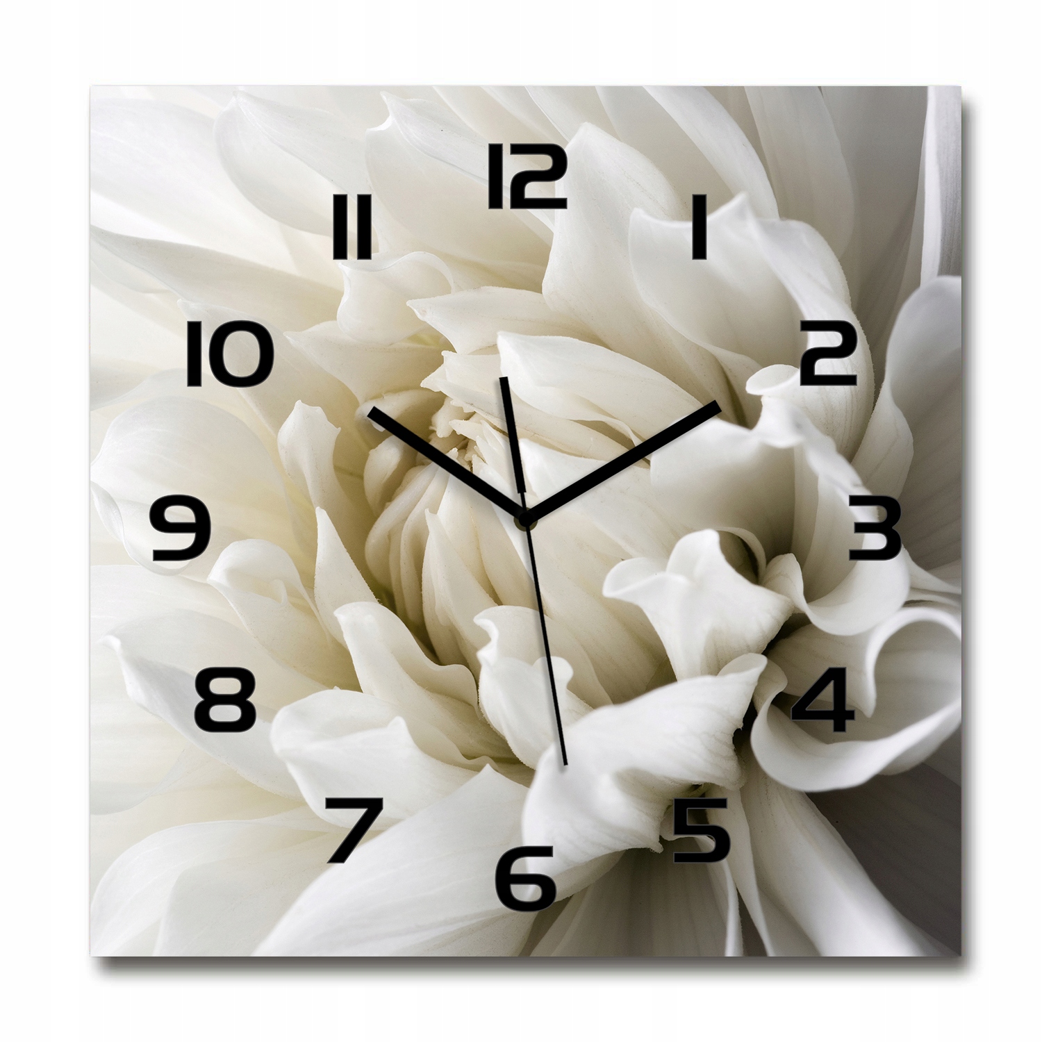 

Duży kwadratowy szklany zegar Biała dalia 60x60 cm