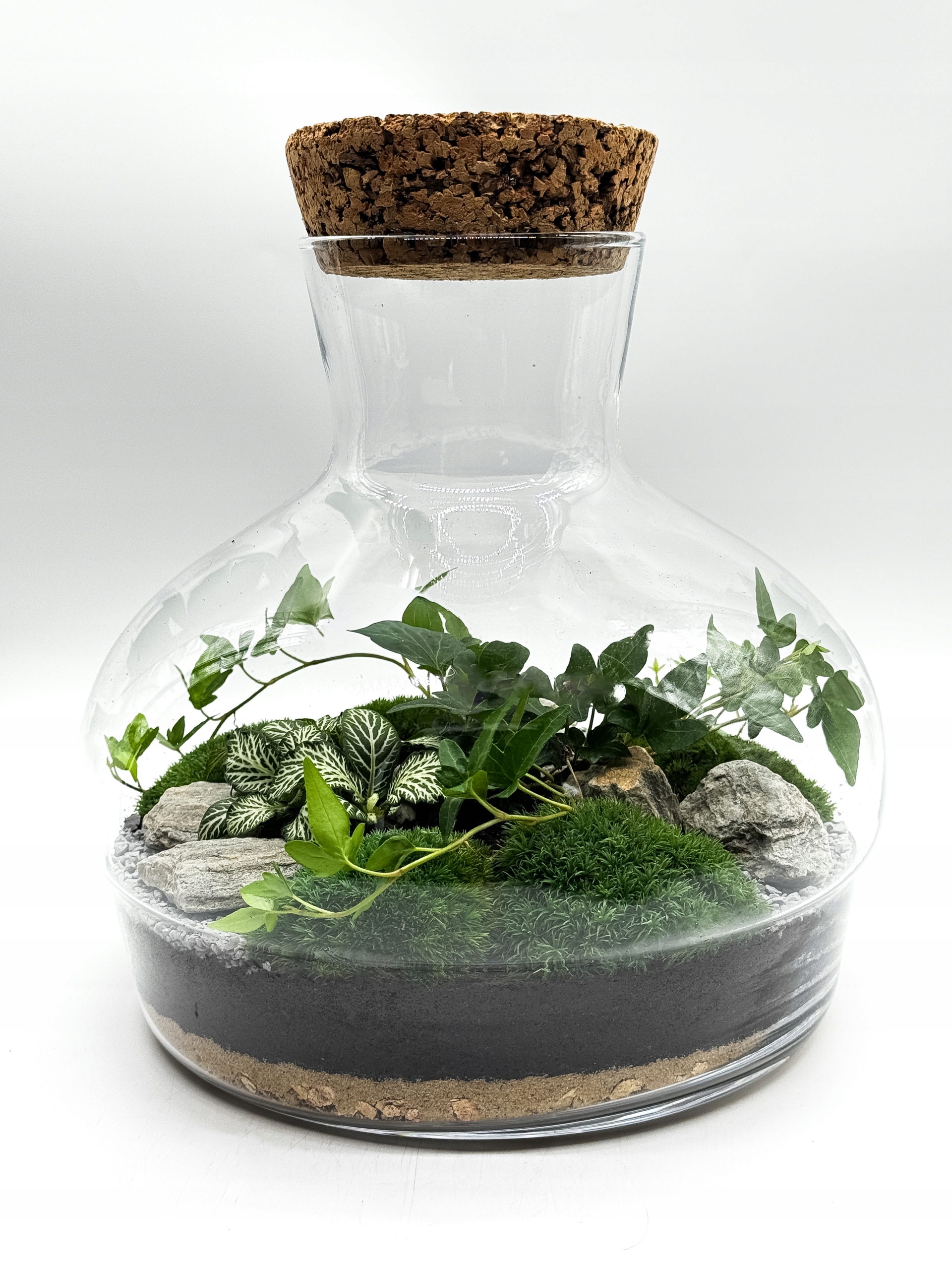 Les ve skle 27 cm – hotová kompozice s mechem, fytonií a korkem