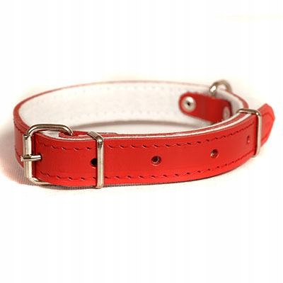 

Dino Obroża Skórzana Dla Psa 12mm/32cm Czerwona