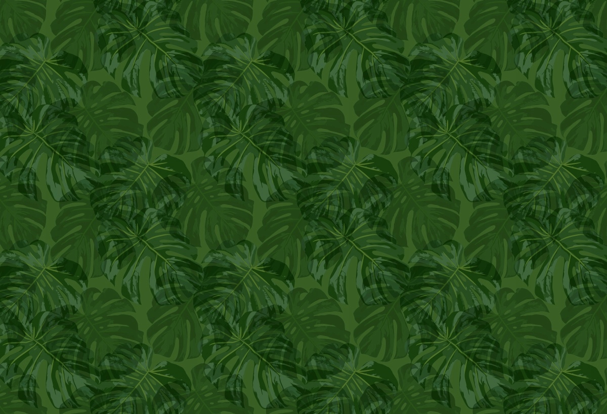 

Tapeta Flizelinowa Tropikalne rośliny - 104x70