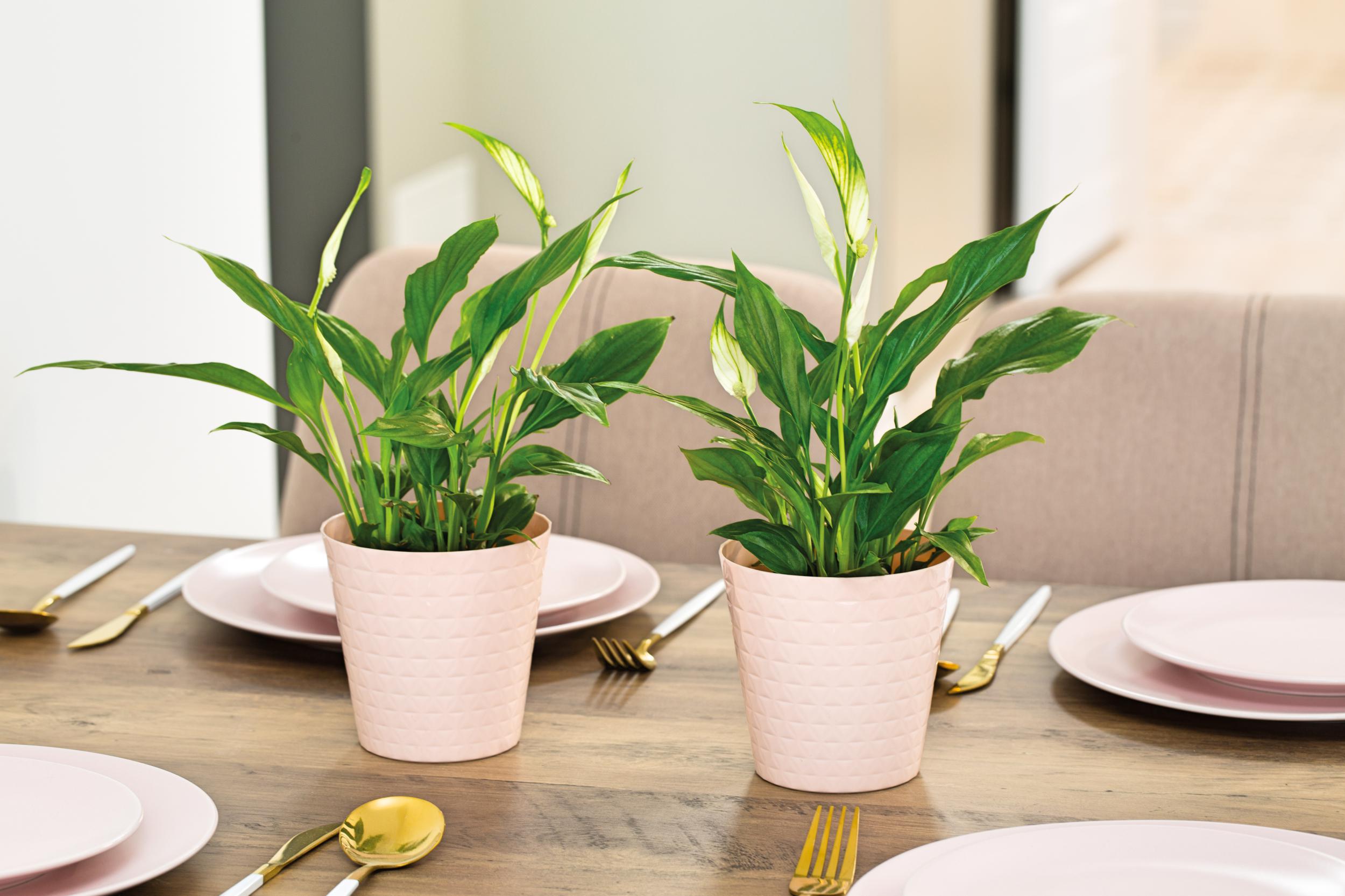 Osłonka Diament petit 11 biała jak ceramiczna Maks. szerokość 11 cm