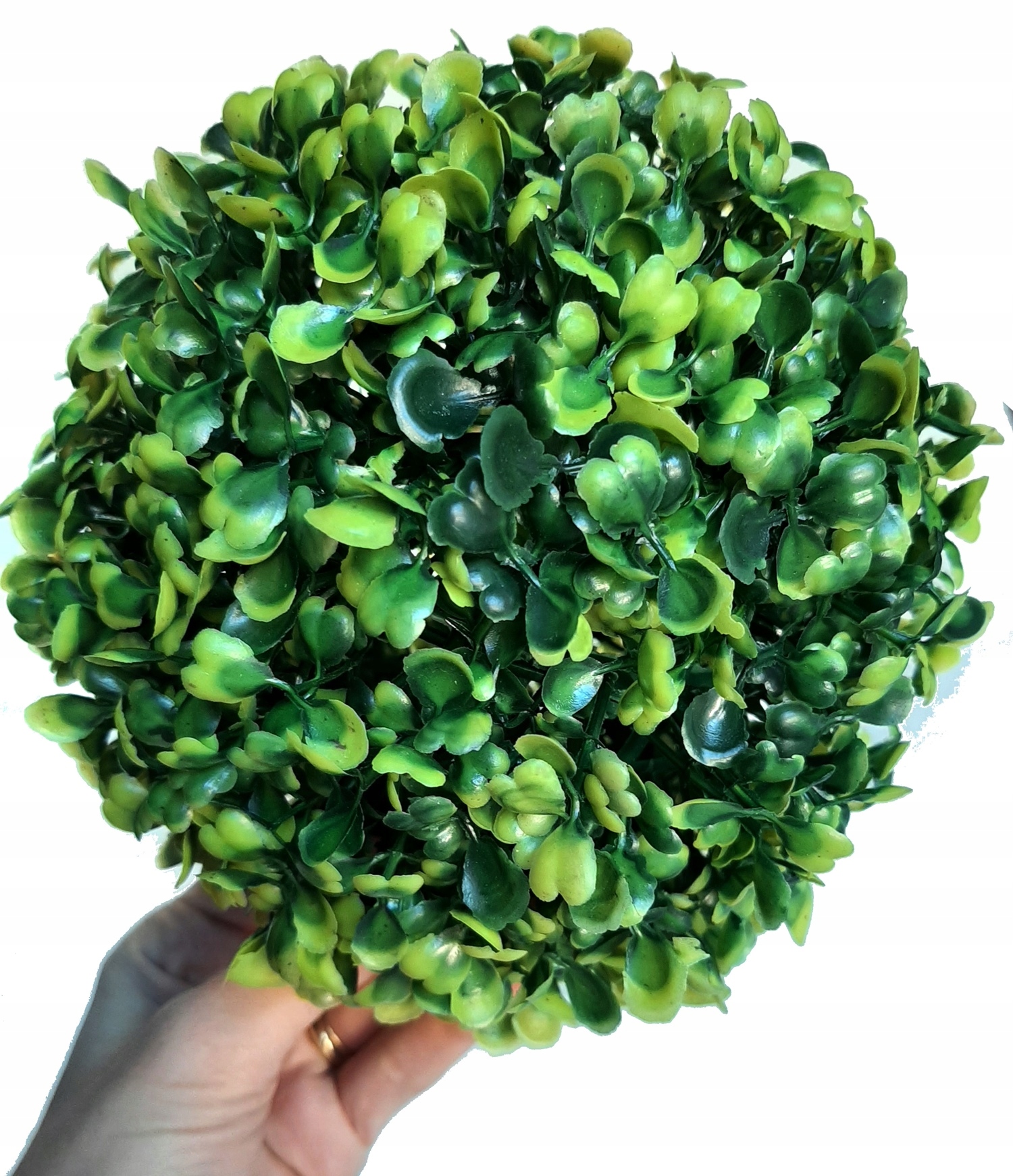 

Kula bukszpan Zielone dekoracje na Komunie 18cm