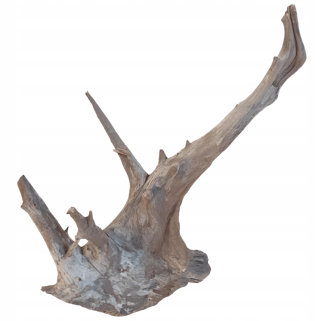 Levně Kořen do akvária Buddha Driftwood Dekorace Terárium Úkryt 31-40 cm