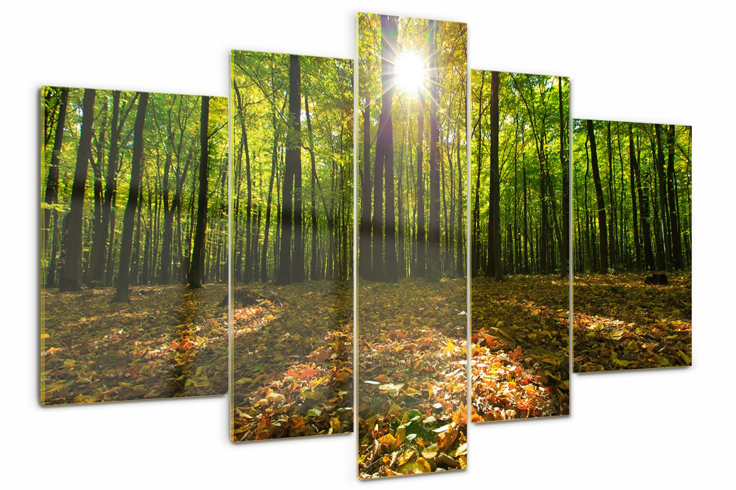 Skleněný triptych tištěný do ložnice Les