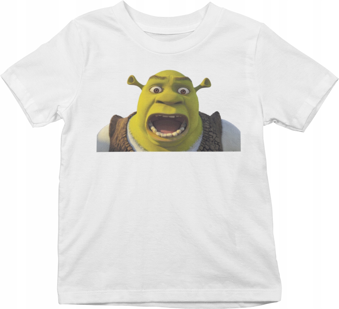 

Koszulka T-shirt Dziecięca XL Shrek Wiele Wzorów