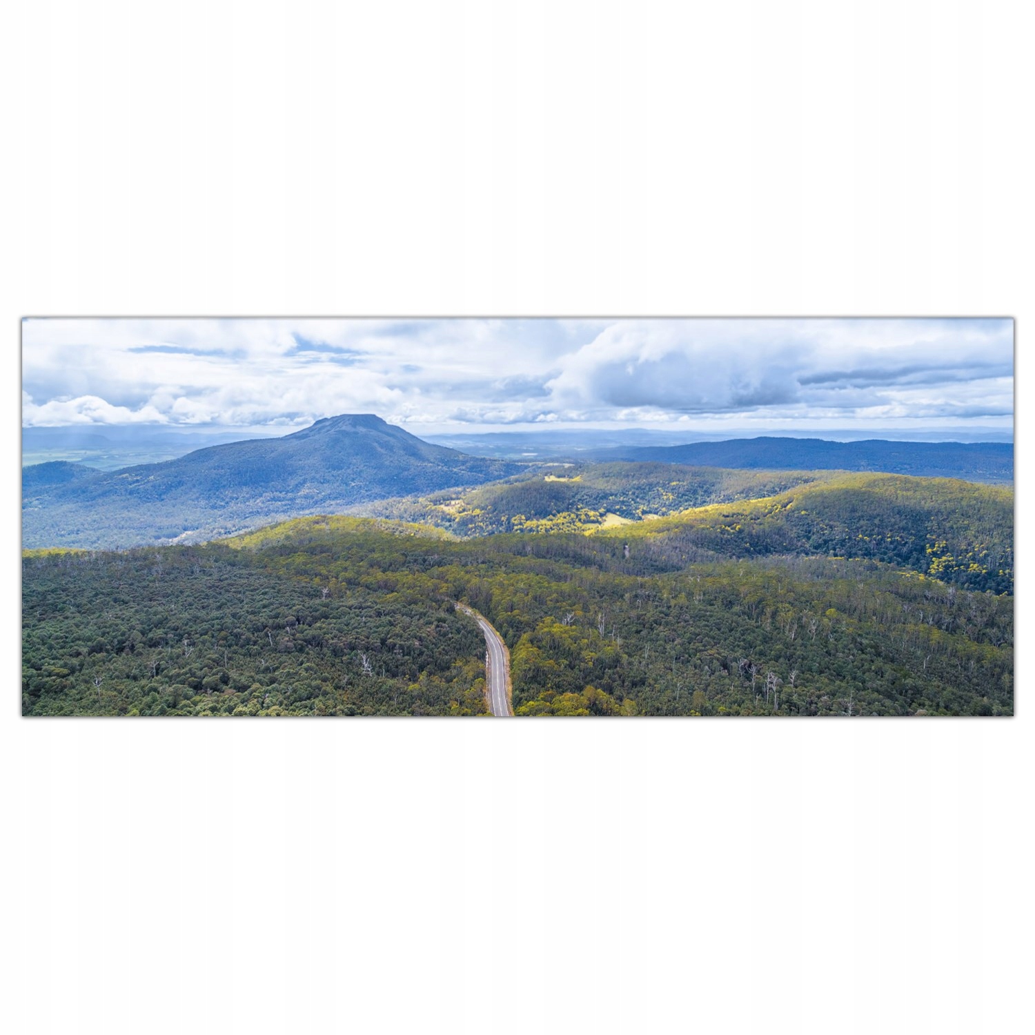 

Obraz na szkle Foto Góry Las Natura Drzewa 125x50