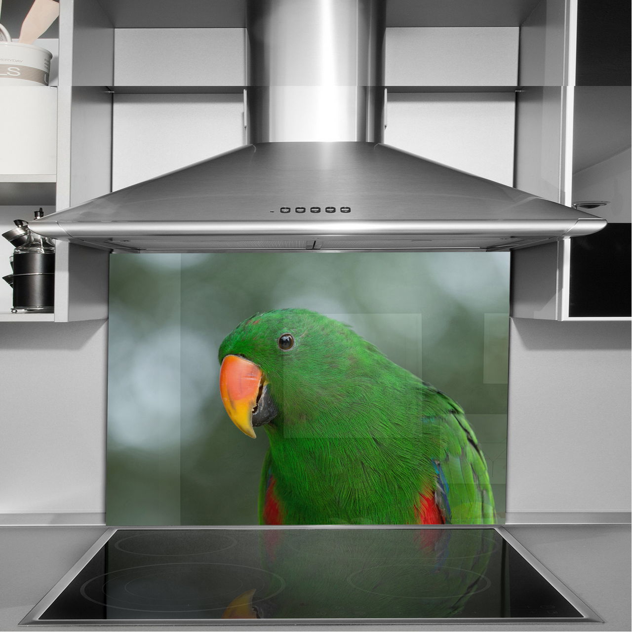 dekor szkło panel hartowany HD 100x70 papuga Wykończenie błyszczące