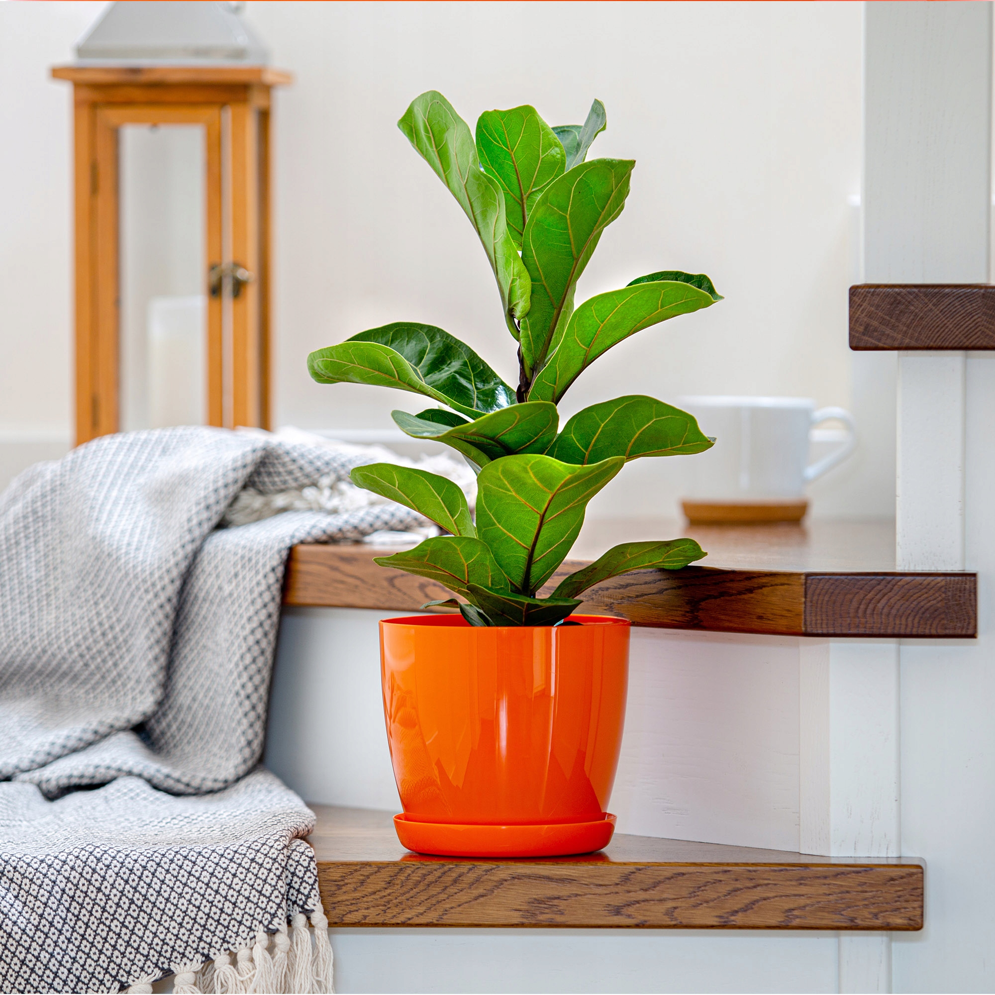 DONICZKA Z PODSTAWKĄ PLASTIKOWA OSŁONKA DONICA 16cm POMARAŃCZOWA KADAX Kod producenta K1270