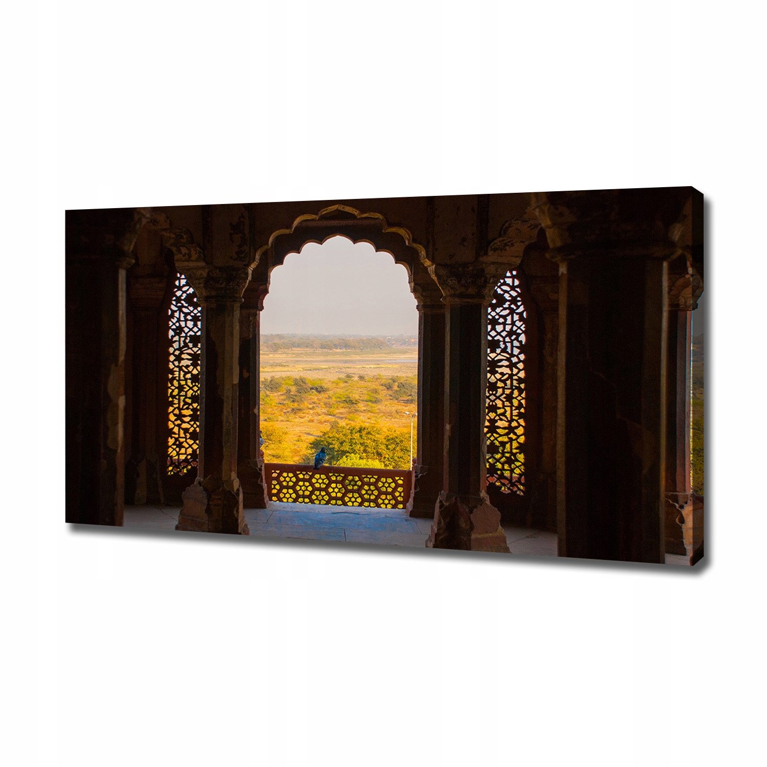 

Foto obraz na płótnie Fort Agra Indie 120x60 cm