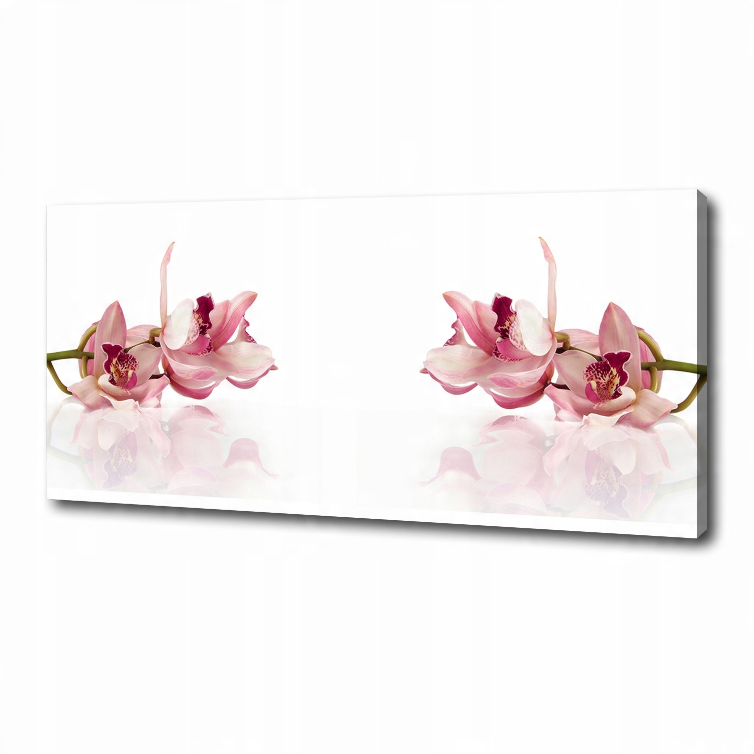 

Foto obraz canvas na ścianę Orchidea 125x50 cm