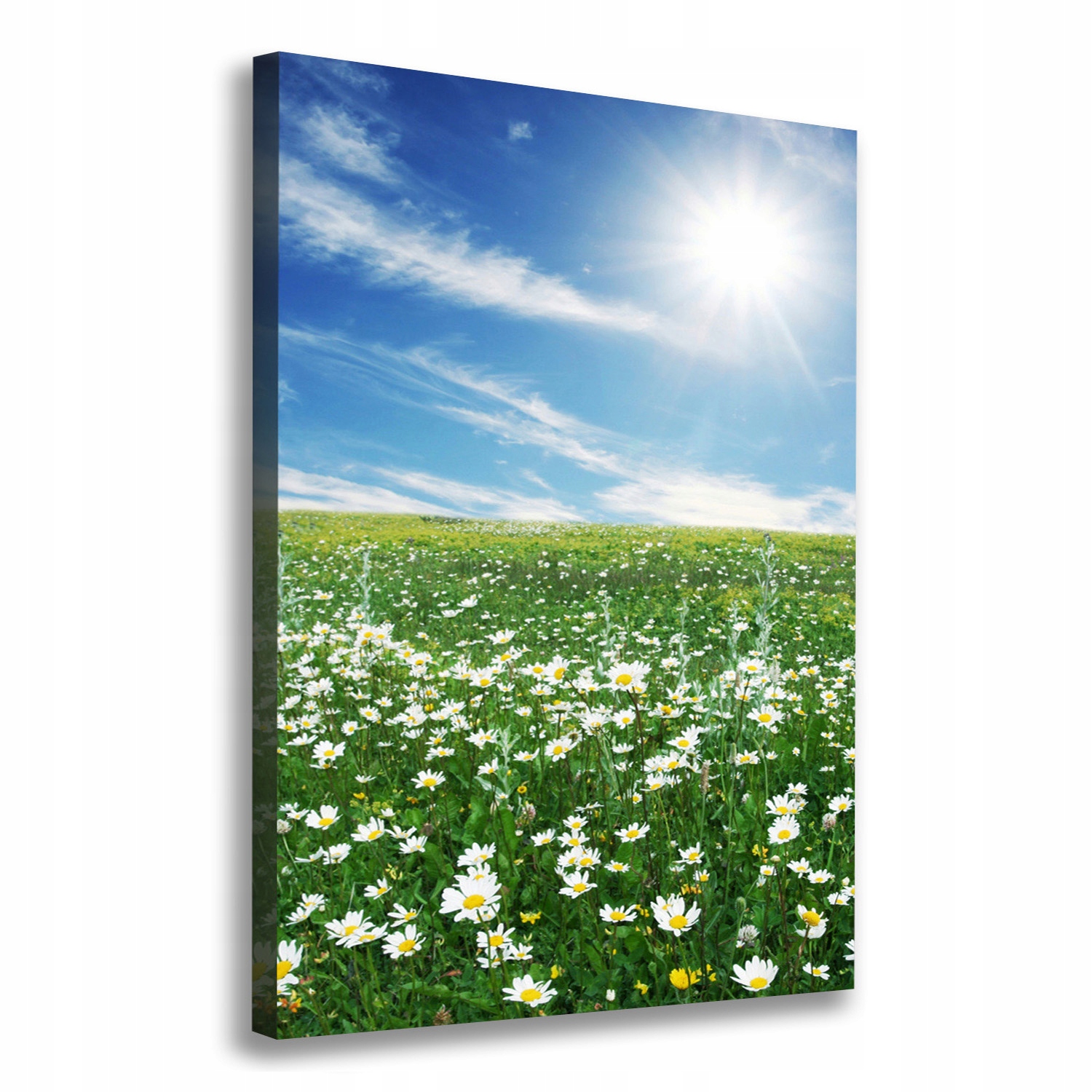 

Foto obraz drukowany na płótnie Łąka 70x100 cm