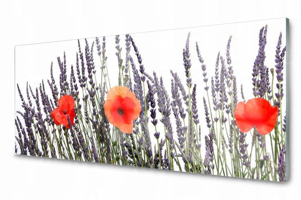 

Panel szklany do kuchni Kwiaty Maki Trawy 125x50