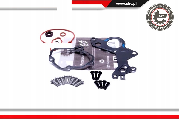 ESEN SKV КОМПЛЕКТ ДЛЯ РЕМОНТУ НАСОСУ VACUM8skv801